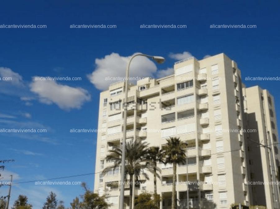 alicantevivienda.com 11 05 2023 10 01 53 636667