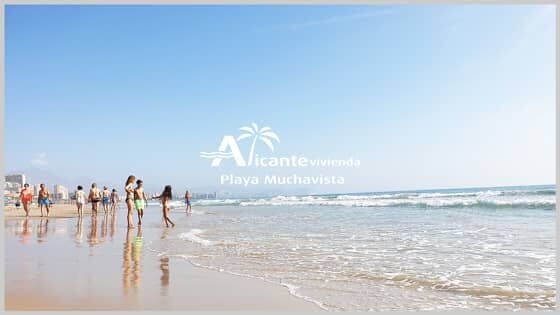 Alicante Vivienda Portal Inmobiliario